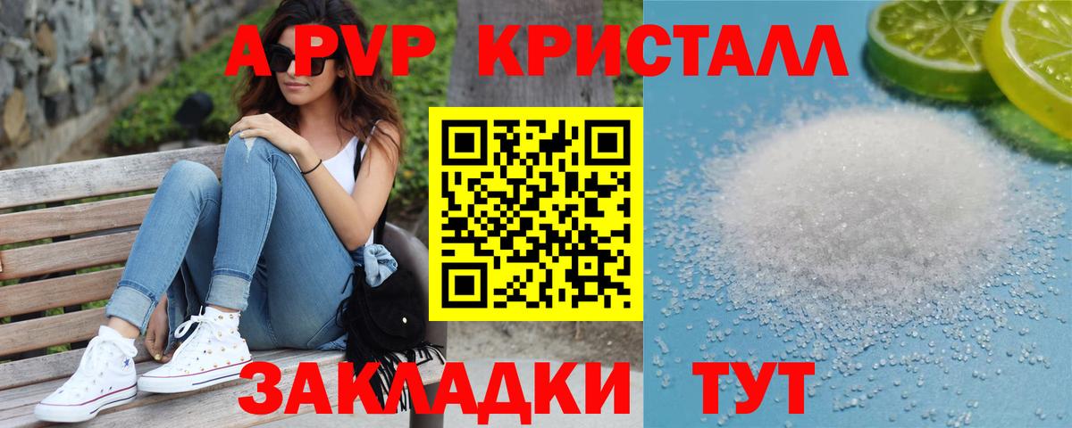 А ПВП крисы CK  Alpha-PVP Соль  Сальск  где найти   Вход с VPN 