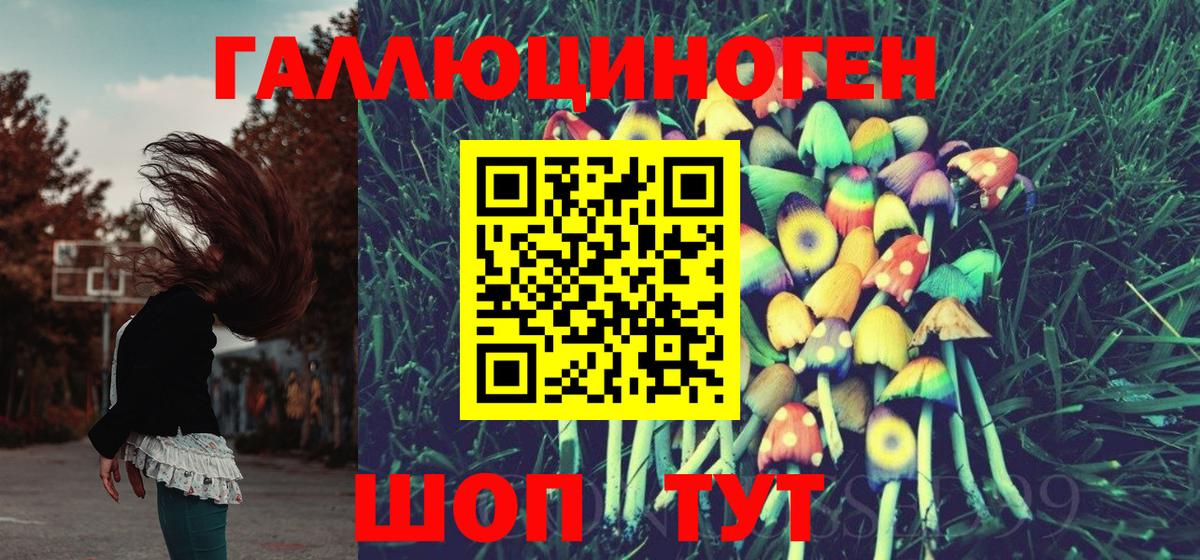 Сальск  Галлюциногенные грибы мухоморы  Вход с VPN 